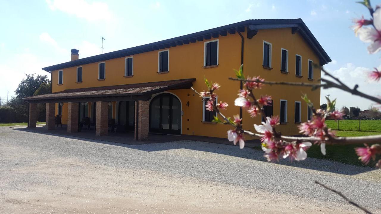 Agriturismo Borgo Borromeo Рубано Екстериор снимка