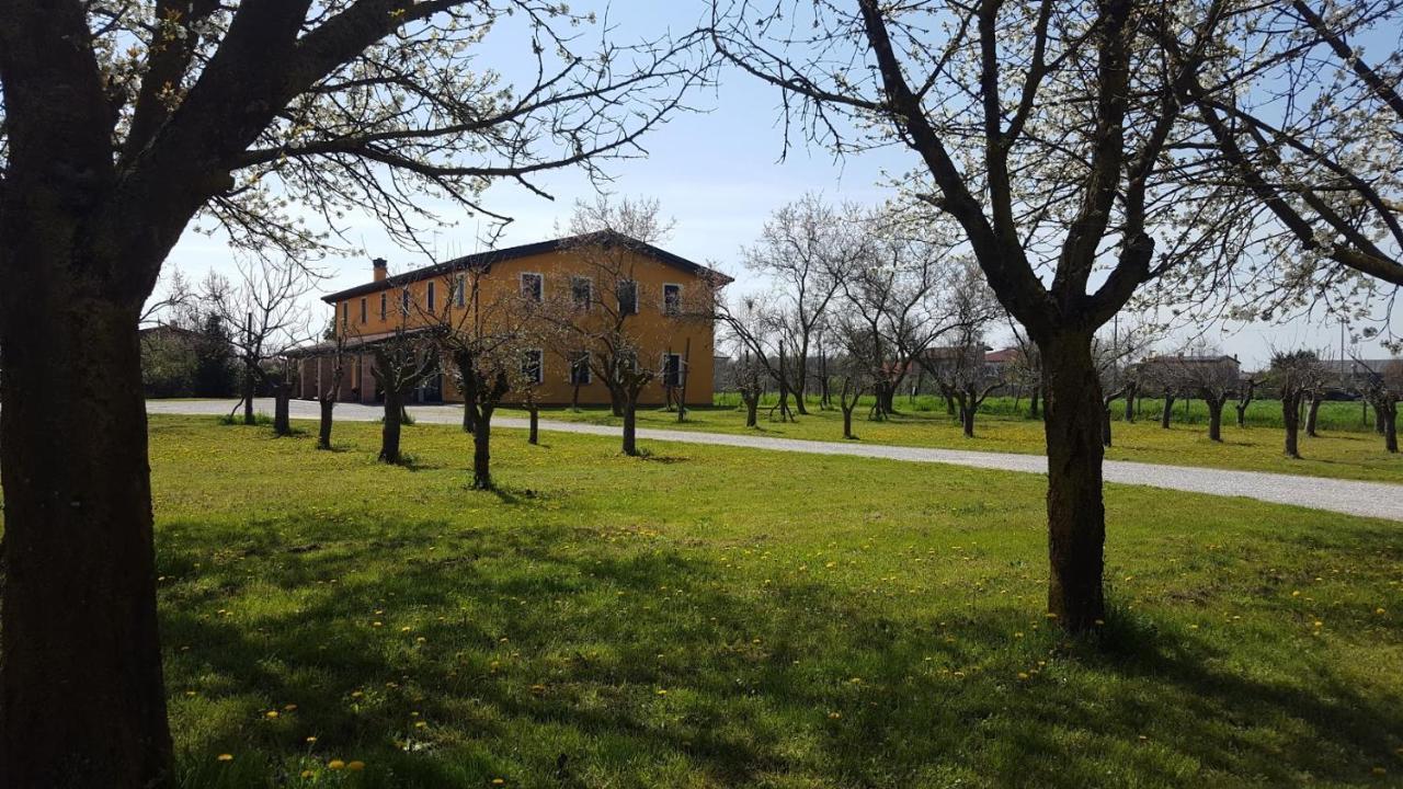 Agriturismo Borgo Borromeo Рубано Екстериор снимка